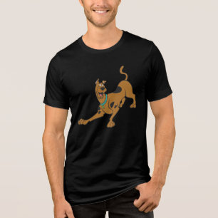 Scooby-Doo-Redot att spela T Shirt