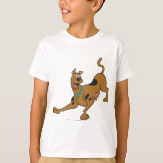 Scooby-Doo-Redot att spela Tee