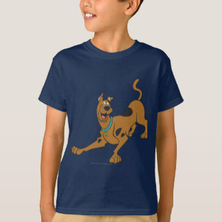 Scooby-Doo-Redot att spela Tröja