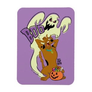 Scooby-Doo Scooby-Doo Boo Magnet