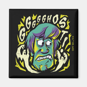 Scooby-Doo Skrämt Shaggy Magnet