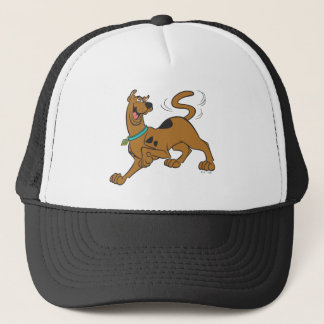 Scooby-Doo Svan Wag Keps