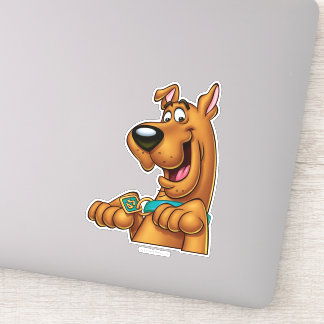 Scooby-Doo Tass Up Klistermärken