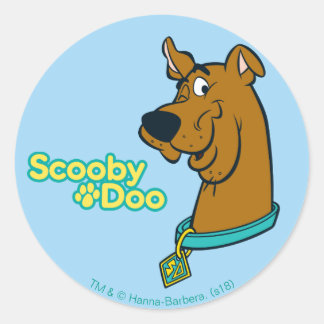 Scooby-Doo Winking Runt Klistermärke