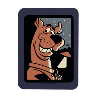 Scooby-Doo with UFO Magnet
