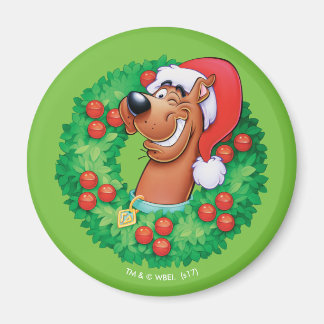 Scooby in Wandan Magnet