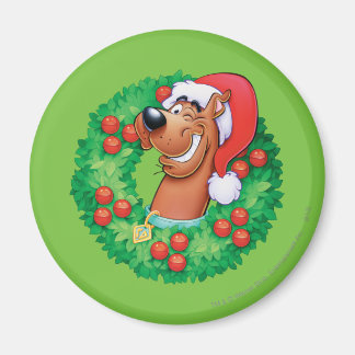 Scooby in Wandan Magnet