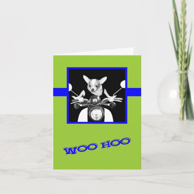 Scooter Chihuahua Kort (Framsida)