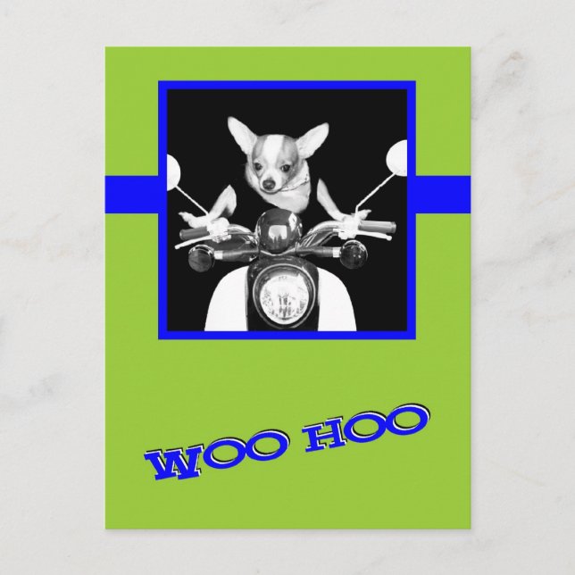 Scooter Chihuahua Vykort (Framsida)