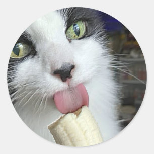 "Scooter with banan snack" Runt Klistermärke