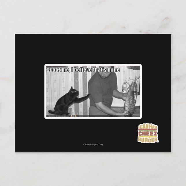 Scooz, jag tror att det är min vykort (Framsida)