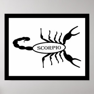 Scorpio Black Scorpion Stjärntecken Poster