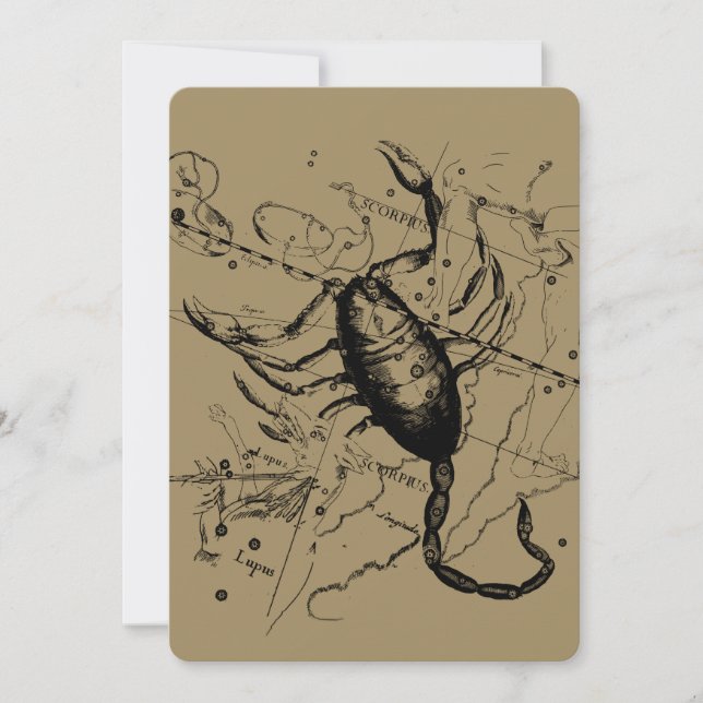 Scorpio Constellation Hevelius 1690 Decor (Framsida)