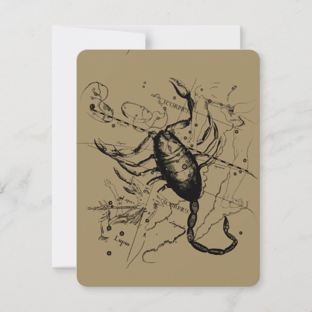 Scorpio Constellation Hevelius 1690 Decor (Framsida)