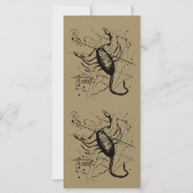 Scorpio Constellation Hevelius 1690 Decor (Framsida)