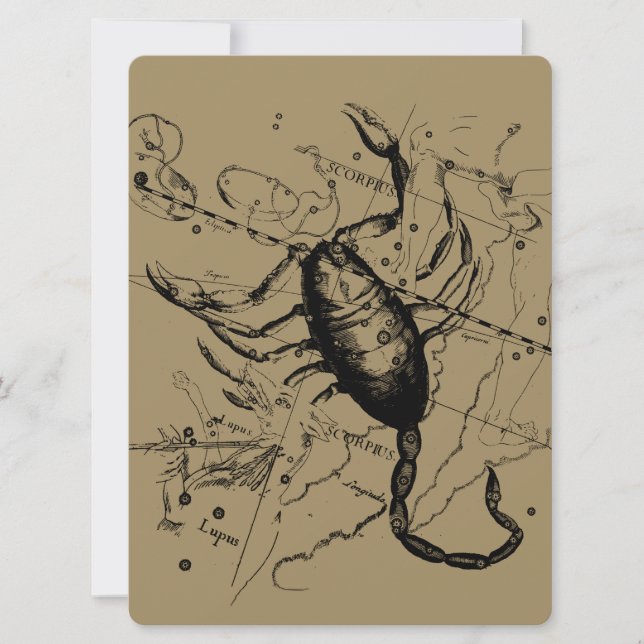 Scorpio Constellation Hevelius 1690 Decor (Framsida)