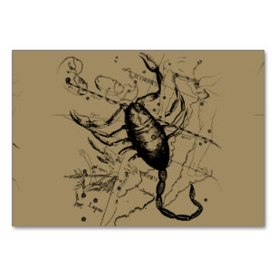 Scorpio Constellation Hevelius 1690 Decor Bordsnummer