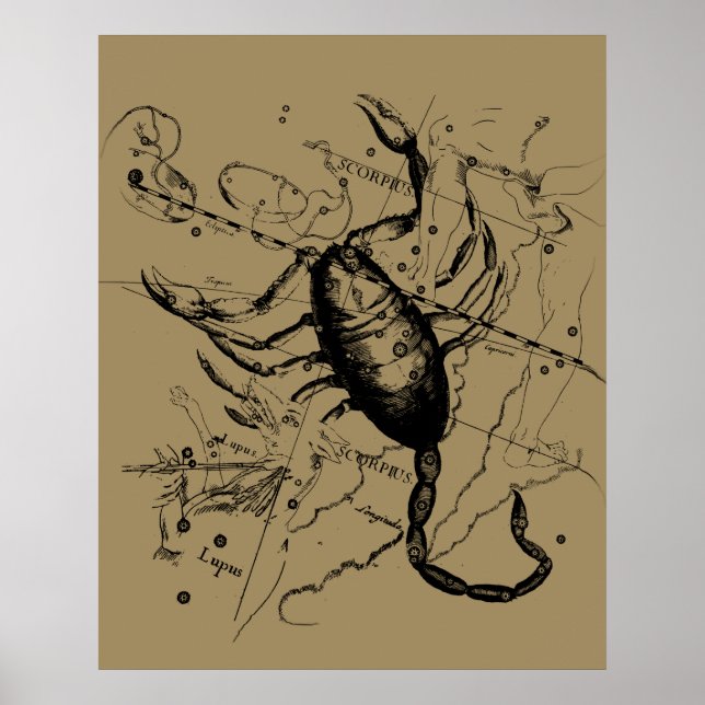 Scorpio Constellation Hevelius 1690 Decor Poster (Framsidan)