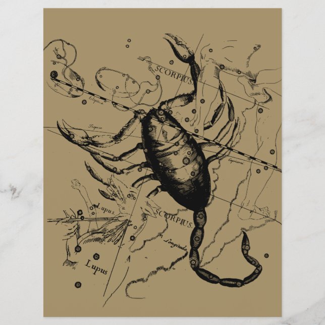Scorpio Constellation Hevelius 1690 Decor Reklamblad (Framsidan)