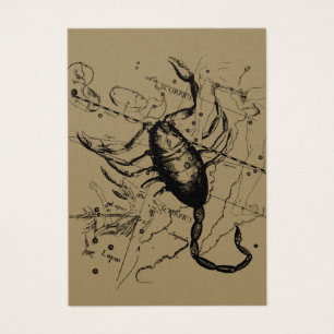 Scorpio Constellation Hevelius 1690 Decor Visitkort