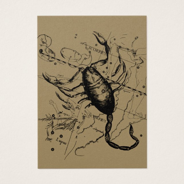 Scorpio Constellation Hevelius 1690 Decor Visitkort (Framsidan)