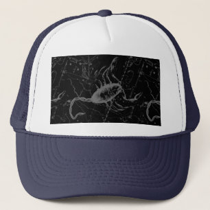 Scorpio Constellation Hevelius 1690 Engrave Keps