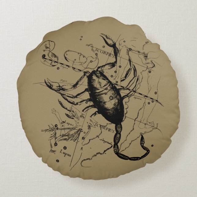Scorpio Constellation Hevelius 1690 Engrave Rund Kudde (Baksidan)