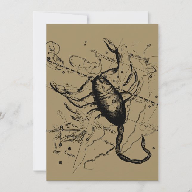 Scorpio Constellation Hevelius 1690 okt23 -nov 21 (Framsida)