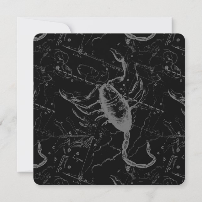 Scorpio Constellation Hevelius 1690 on Black (Framsida)