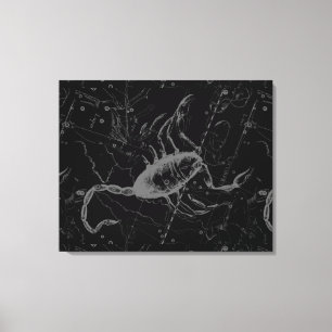 Scorpio Constellation Hevelius 1690 on Black Canvastryck