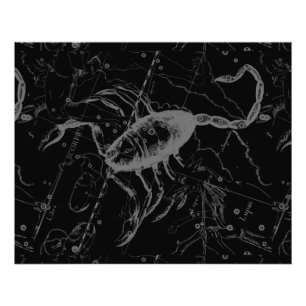 Scorpio Constellation Hevelius 1690 on Black Fototryck
