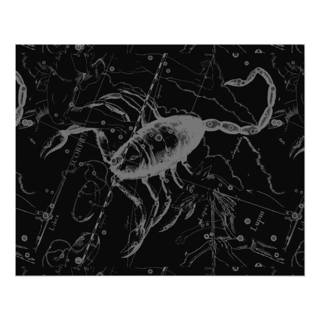 Scorpio Constellation Hevelius 1690 on Black Fototryck (Framsidan)
