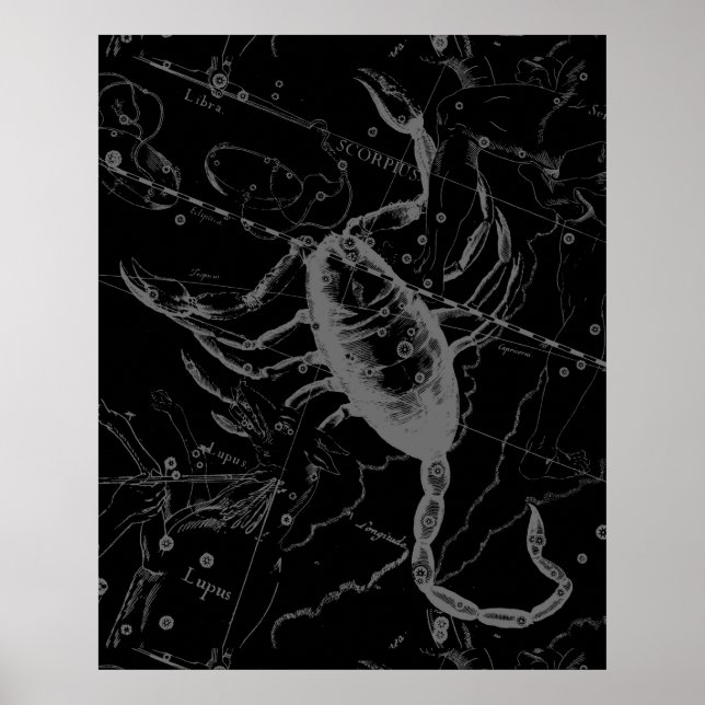 Scorpio Constellation Hevelius 1690 on Black Poster (Framsidan)