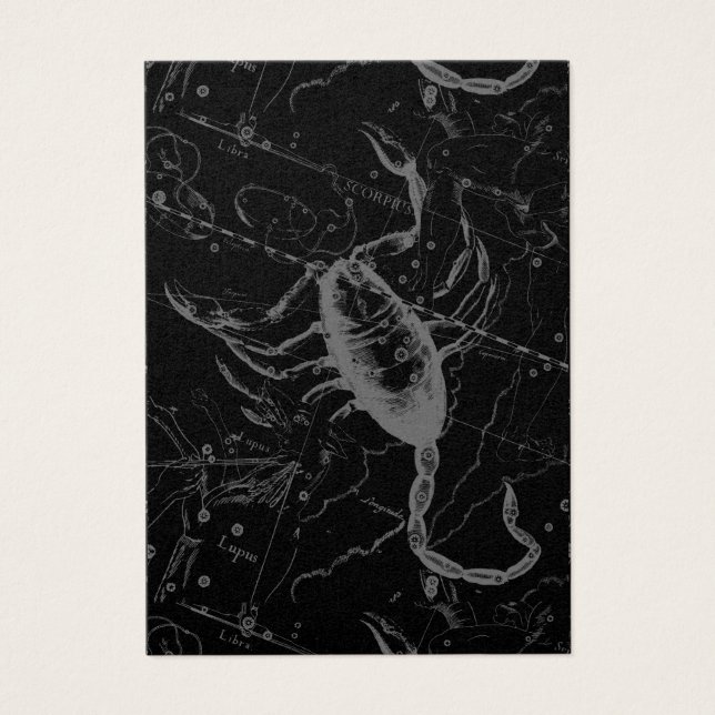 Scorpio Constellation Hevelius 1690 on Black Visitkort (Framsidan)