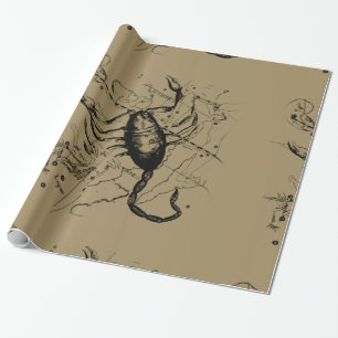 Scorpio Constellation Hevelius circa 1690 Vintage Presentpapper