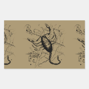 Scorpio Constellation Hevelius circa 1690-Vintage Rektangulärt Klistermärke