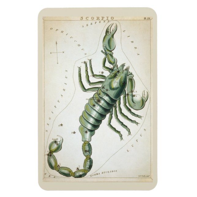 Scorpio Constellation Magnet (Vertikal)