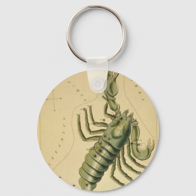 Scorpio Keychain Nyckelring (Framsida)