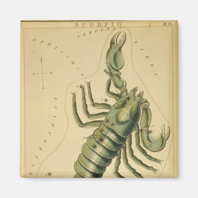 Scorpio Magnet (Framsidan)