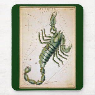 Scorpio Musmatta