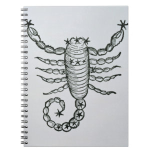 Scorpio (scorpionen) en illustration från 'pet anteckningsbok