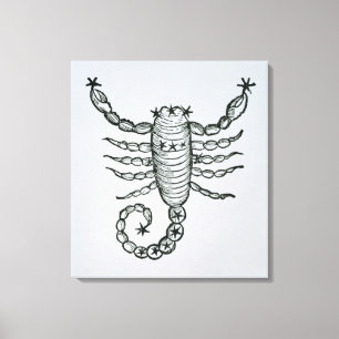 Scorpio (scorpionen) en illustration från 'pet canvastryck