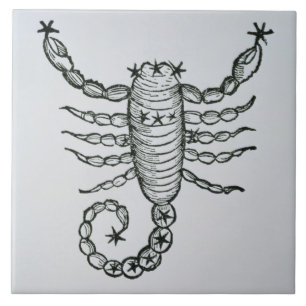 Scorpio (scorpionen) en illustration från 'pet kakelplatta