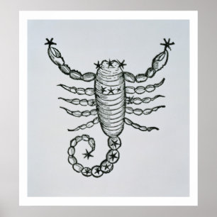 Scorpio (scorpionen) en illustration från 'pet poster