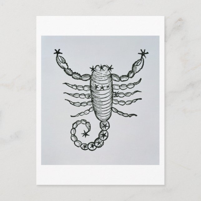 Scorpio (scorpionen) en illustration från 'pet vykort (Framsida)