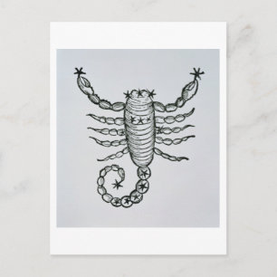 Scorpio (scorpionen) en illustration från 'pet vykort