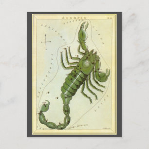 Scorpio, Vintage Constellation Uranias Spegel Vykort