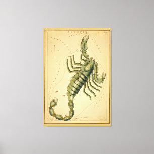 Scorpio-Vintage (korpion) - tecken på Zodiac-bild Canvastryck