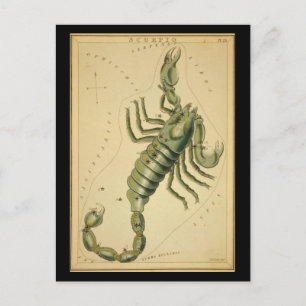 Scorpio Vykort