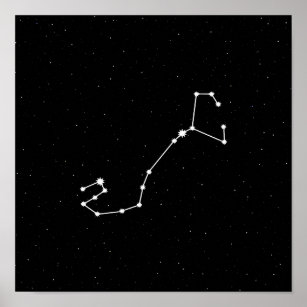 Scorpio Zodiac Constellation Modern Black & White Poster